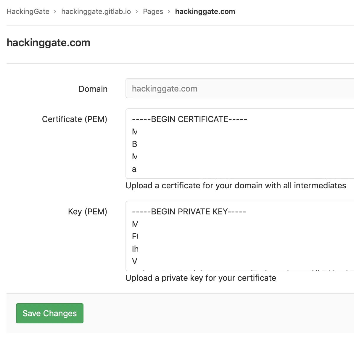 GitLab-custom-certificate.png